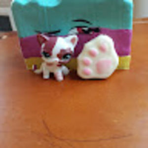 Meet your Posher, Michele